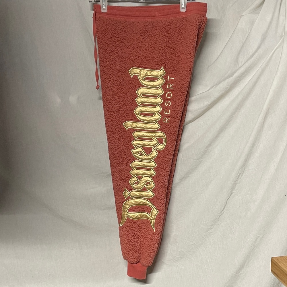 Disneyland Spirit Jersey Sherpa Pants sz Small Womens.